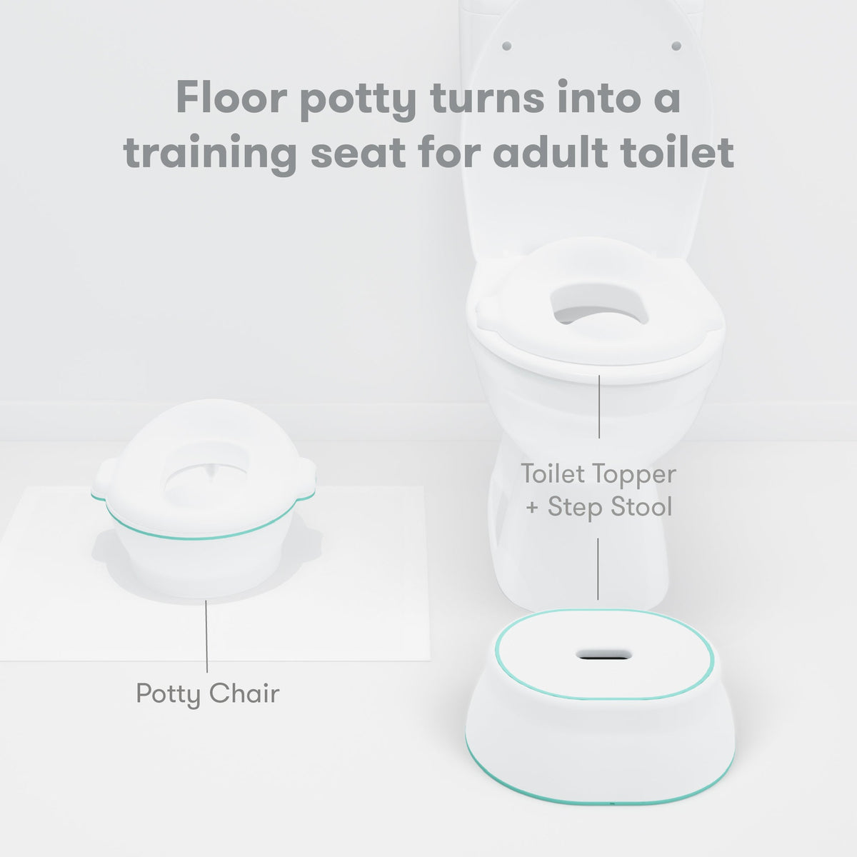 3-in-1 Grow-With-Me Potty